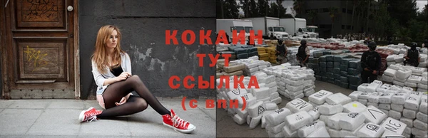 СК Аркадак