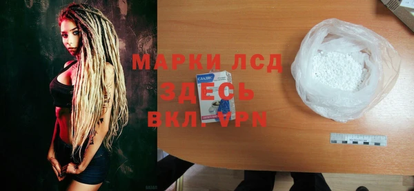 стафф Арсеньев