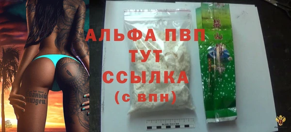 стафф Арсеньев
