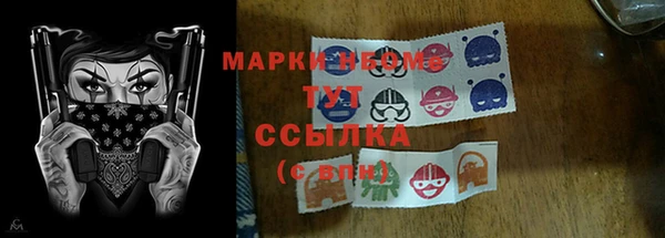 стафф Арсеньев