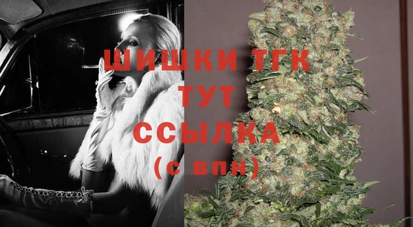 СК Аркадак